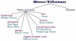 Sino-Tibetan Group